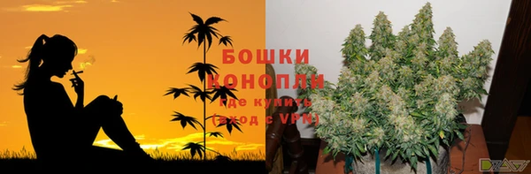 ПСИЛОЦИБИНОВЫЕ ГРИБЫ Балабаново