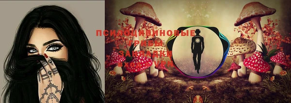 ПСИЛОЦИБИНОВЫЕ ГРИБЫ Балабаново